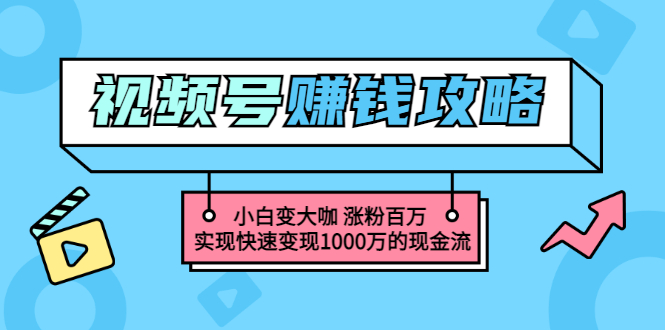 【第3449期】玩转微信视频号赚钱：小白变大咖 涨粉百万 实现快速变现1000万的现金流-勇锶商机网