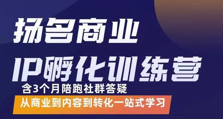 【第3480期】商业IP孵化训练营，从商业到内容到转化一站式学 价值5980元-勇锶商机网