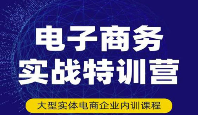 【第3512期】电子商务实战特训营，全方位带你入门电商，308种方式玩转电商-勇锶商机网