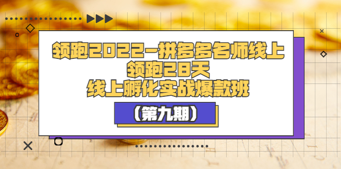 【第3721期】领跑2022-拼多多名师线上领跑28天，线上孵化实战爆款班（第九期）-勇锶商机网