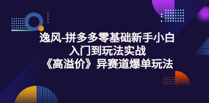 【第3777期】逸风-拼多多零基础新手小白入门到玩法实战《高溢价》异赛道爆单玩法实操课-勇锶商机网