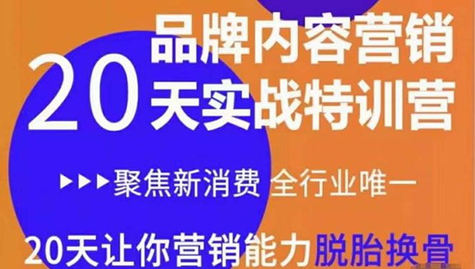 【第3799期】《内容营销实操特训营》20天让你营销能力脱胎换骨（价值3999）-勇锶商机网