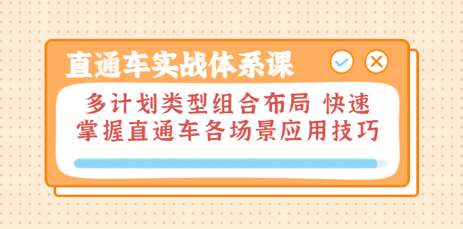 【第3810期】直通车实战体系课：多计划类型组合布局 快速掌握直通车各场景应用技巧-勇锶商机网