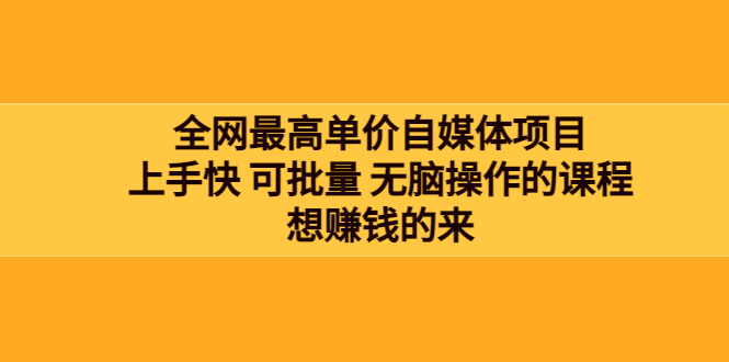 【第3876期】全网最单高价自媒体项目：上手快 可批量 无脑操作的课程，想赚钱的来-勇锶商机网