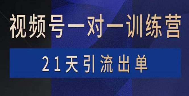 【第3968期】视频号训练营：带货，涨粉，直播，游戏，四大变现新方向，21天引流出单-勇锶商机网