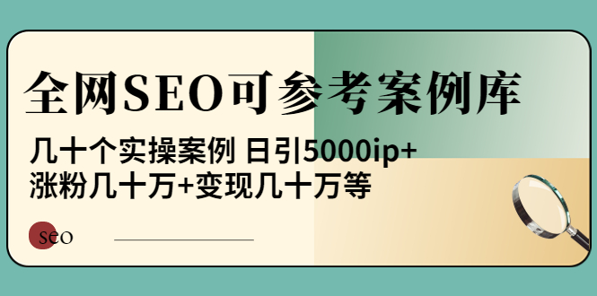 【第4088期】《全网SEO可参考案例库》几十个实操案例 日引5000ip+涨粉百W+变现几十W等-勇锶商机网