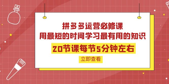 【第4089期】拼多多运营必修课：20节课每节5分钟左右，用最短的时间学习最有用的知识-勇锶商机网