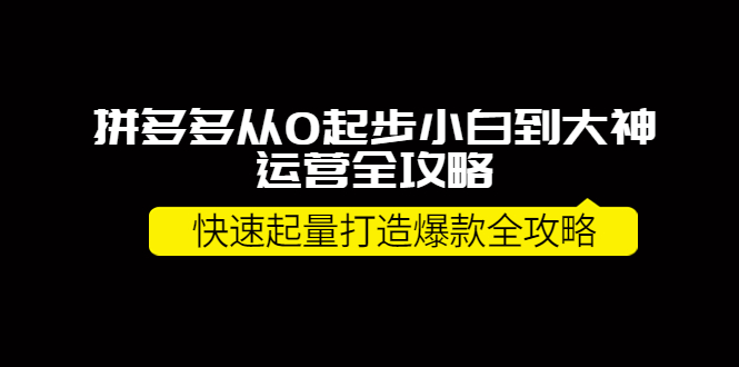 【第4127期】拼多多从0起步小白到大神运营全攻略，快速起量打造10W+爆款全攻略-勇锶商机网