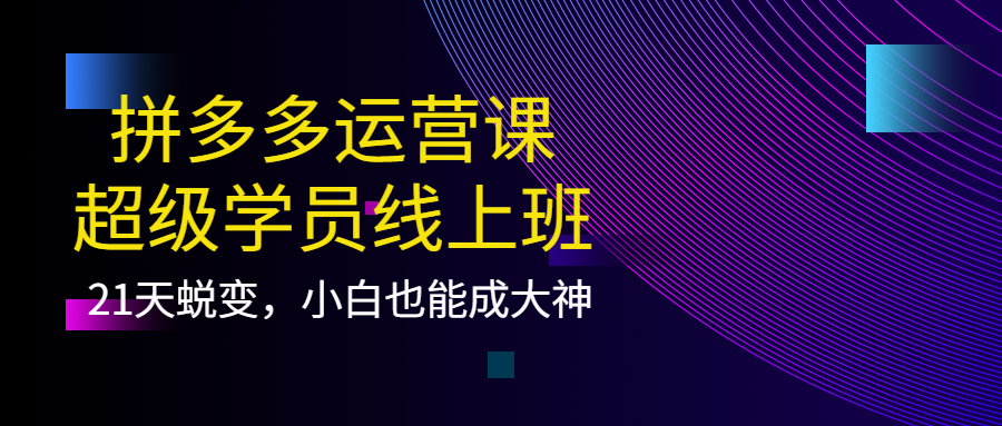 【第4160期】拼多多运营课：超级学员线上班，21天蜕变，小白也能成大神-勇锶商机网