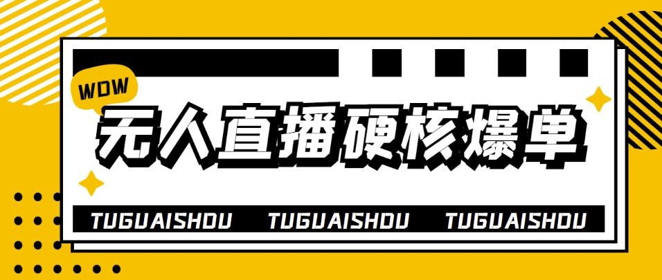 【第4199期】大飞无人直播硬核爆单技术，轻松玩转无人直播，暴利躺赚-勇锶商机网