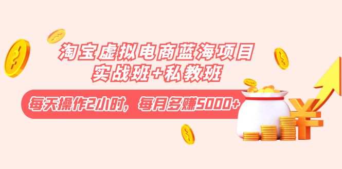 【第4266期】淘宝虚拟电商蓝海项目实战班+私教班：每天操作2小时，每月多赚5000+-勇锶商机网