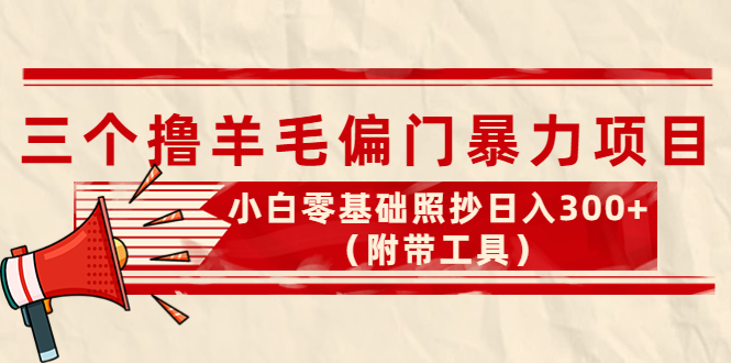 【第4312期】外面卖998的三个撸羊毛偏门暴力项目，小白零基础照抄日入300+（附带工具）-勇锶商机网