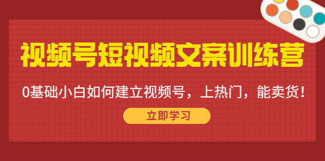 【第4449期】视频号短视频文案训练营：0基础小白如何建立视频号，上热门，能卖货-勇锶商机网