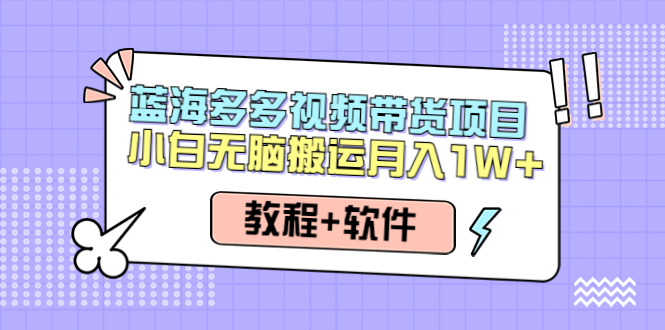 【第4512期】人人都能操作的蓝海多多视频带货项目 小白无脑搬运月入10000+（教程+软件）-勇锶商机网