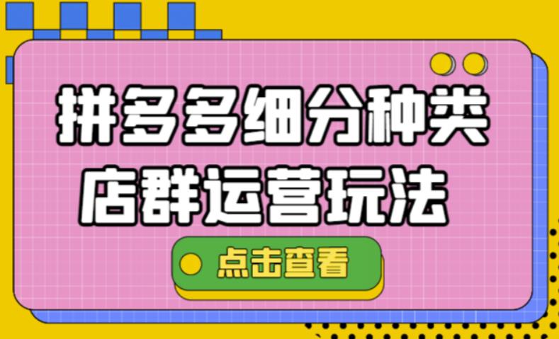 【第4541期】拼多多细分种类店群运营玩法3.0，11月最新玩法，小白也可以操作-勇锶商机网