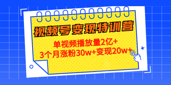 【第4613期】20天视频号变现特训营：单视频播放量2亿+3个月涨粉30w+变现20w+-勇锶商机网