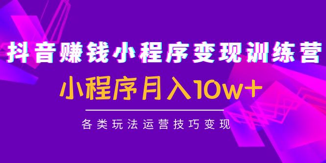 【第4665期】抖音赚钱小程序变现训练营：小程序月入10w+各类玩法运营技巧变现-勇锶商机网