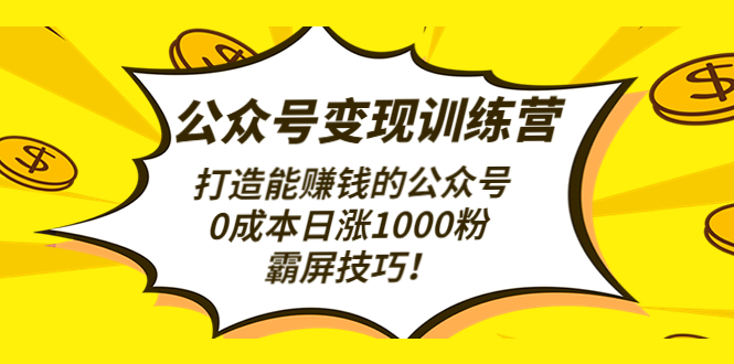 【第4728期】公众号变现训练营（第3期）打造能赚钱的公众号，0成本日涨1000粉，霸屏技巧-勇锶商机网