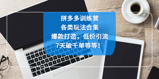 【第4825期】拼多多训练营：各玩法合集，爆款打造，低价引流，7天破千单等等-勇锶商机网