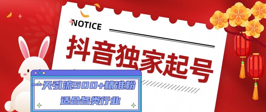 【第5006期】抖音独家起号，一天引流500+精准粉，适合各类行业（9节视频课）-勇锶商机网