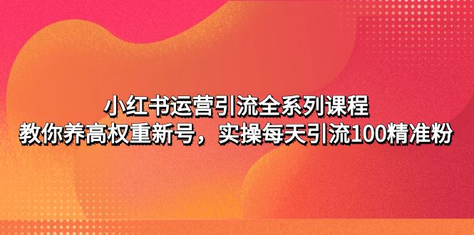 【第5044期】小红书运营引流全系列课程：教你养高权重新号，实操每天引流100精准粉-勇锶商机网