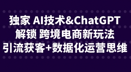 【第6680期】独家 AI技术&ChatGPT解锁 跨境电商新玩法，引流获客+数据化运营思维-勇锶商机网