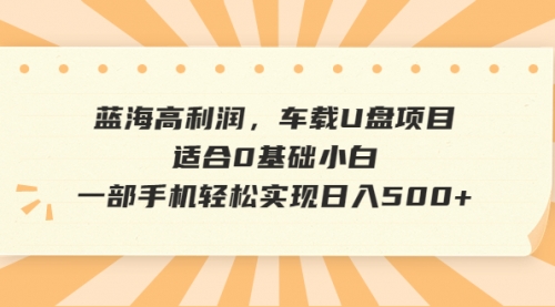 【第6681期】蓝海高利润，车载U盘项目，适合0基础小白，一部手机轻松实现一天500+-勇锶商机网