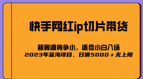 【第6937期】2023爆火的快手网红IP切片，号称日佣5000＋的蓝海项目，二驴的独家授权-勇锶商机网