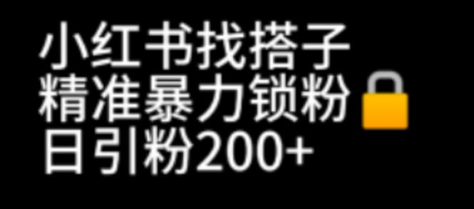 【第6940期】小红书找搭子暴力精准锁粉+引流日引200+精准粉-勇锶商机网