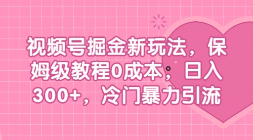 【第6945期】视频号掘金新玩法，保姆级教程0成本，日入300+，冷门暴力引流-勇锶商机网