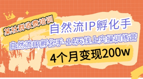 【第7009期】自然流IP孵化手-14天线上实操训练营 4个月变现200w-勇锶商机网