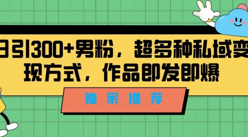 【第7091期】独家推荐！日引300+男粉，超多种私域变现方式-勇锶商机网