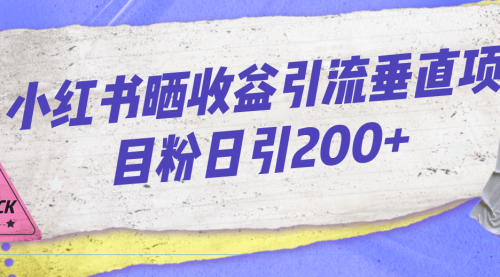 【第7094期】小红书晒收益图引流垂直项目粉日引200+-勇锶商机网