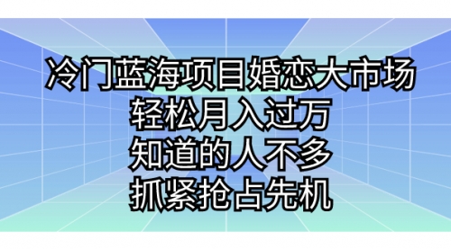 【第7146期】冷门蓝海项目婚恋大市场，轻松月入过万-勇锶商机网