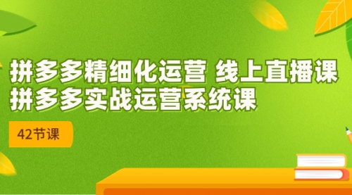 【第7192期】2023年8月新课-拼多多精细化运营-勇锶商机网