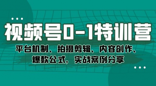 【第7496期】视频号0-1特训营：平台机制、拍摄剪辑、内容创作、爆款公式，实战案例分享-勇锶商机网