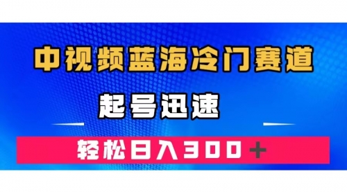 【第7572期】中视频蓝海冷门赛道，韩国视频奇闻解说，起号迅速，日入300＋-勇锶商机网