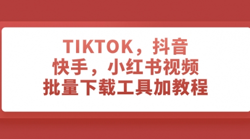 【第8025期】TIKTOK，抖音，快手，小红书视频批量下载工具加教程-勇锶商机网