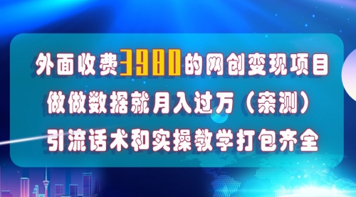 【第8036期】在短视频等全媒体平台做数据流量优化，实测一月1W+，在外至少收费4000+-勇锶商机网