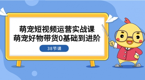 【第8175期】萌宠·短视频运营实战课：萌宠好物带货0基础到进阶（38节课）-勇锶商机网