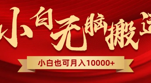 【第8560期】无脑搬运视频，全新平台独占玩法，一个账号每天1000+，多账号轻松扩张！-勇锶商机网