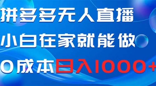 【第8603期】拼多多无人直播，小白在家就能做，0成本日入1000+-勇锶商机网