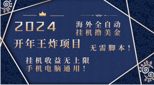 【第6764期】2024海外撸美金项目！手机电脑均可