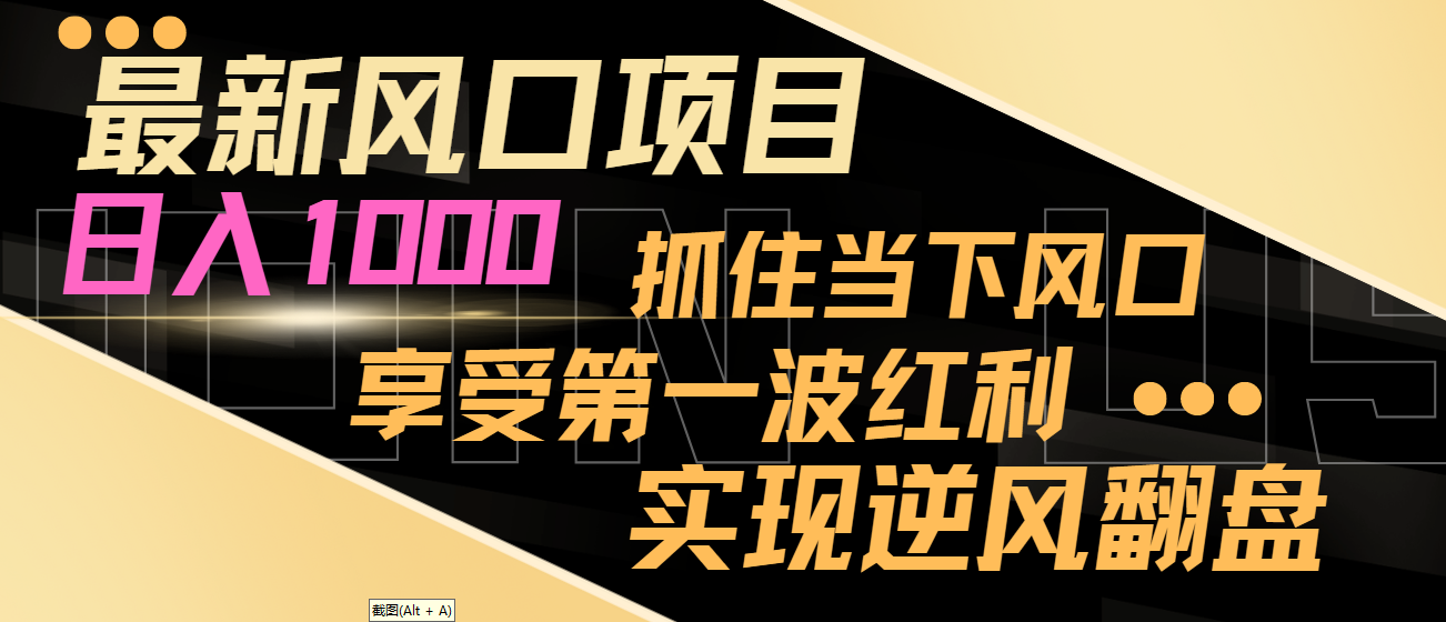 【第8650期】最新风口项目，日入过千，抓住当下风口，享受第一波红利，实现逆风翻盘-勇锶商机网