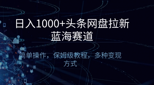 【第8679期】日入1000+头条网盘拉新蓝海赛道，简单操作，保姆级教程，多种变现方式-勇锶商机网