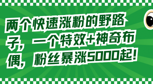 【第8723期】两个快速涨粉的野路子，一个特效+神奇布偶，粉丝暴涨5000起！-勇锶商机网