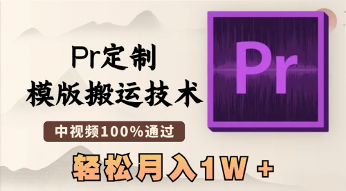 【第6816期】最新Pr定制模版搬运技术，中视频100%通过