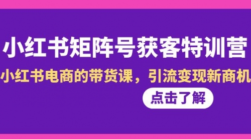 【第8962期】小红书-矩阵号获客特训营-第10期，小红书电商的带货课，引流变现新商机-勇锶商机网