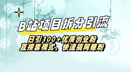 【第8967期】B站项目拆分引，快速日引100+优质创业粉-勇锶商机网