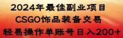 【第8982期】2024年最佳副业项目 CSGO饰品装备交易 轻易操作单账号日入200+-勇锶商机网